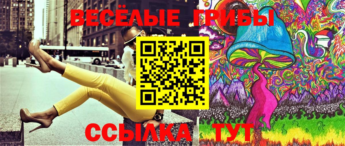 Галлюциногенные грибы прущие грибы  Псилоцибиновые грибы Psilocybine cubensis  Вход с VPN  Димитровград 